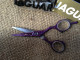 Jaguar Gold Line "Diamond E Donna" 5.5" Champion class scissor.